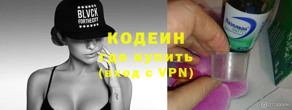 шишки Белокуриха