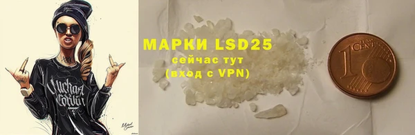 шишки Белокуриха