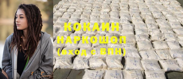 шишки Белокуриха