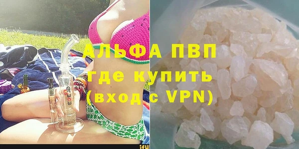 шишки Белокуриха