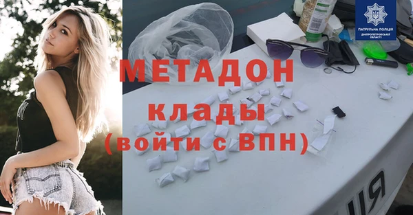шишки Белокуриха