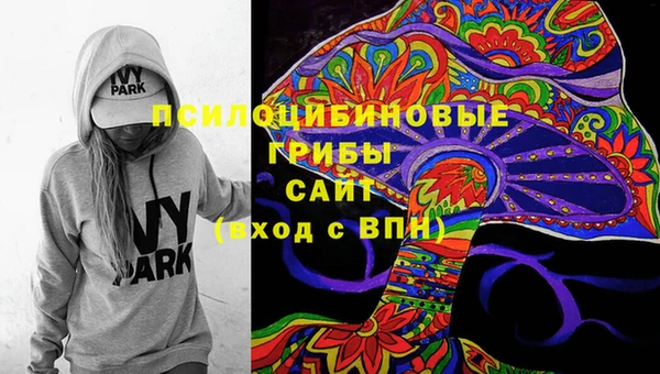 гидра Беломорск