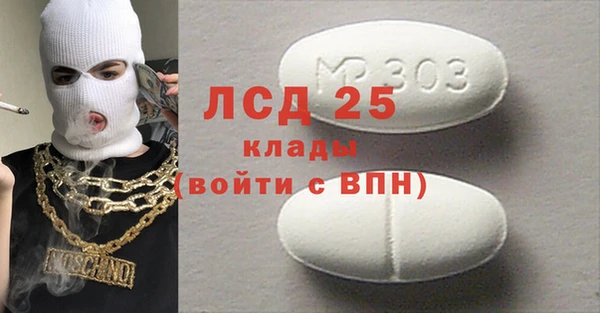 шишки Белокуриха