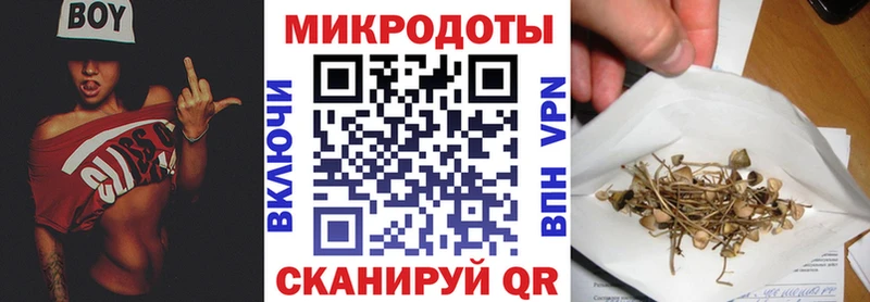 мега маркетплейс  Верещагино  Галлюциногенные грибы Psilocybe  где можно купить наркотик 